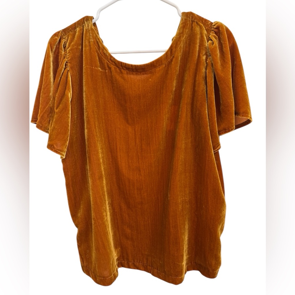 Loft Crushed Velvet Women's Top Gold/Amber Color Size Medium Short Sleeve